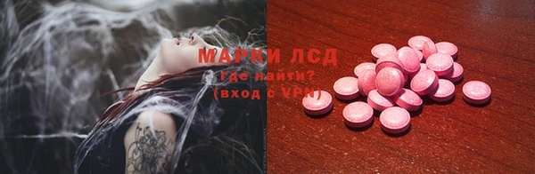 стаф Алексин