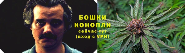 твердый Абаза