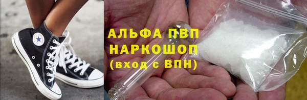 стаф Алзамай