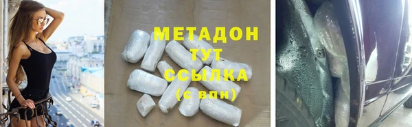 стаф Алзамай