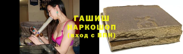 стаф Алзамай