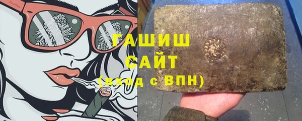 стаф Алзамай