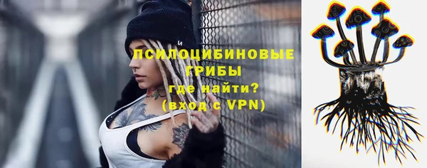 стаф Алзамай
