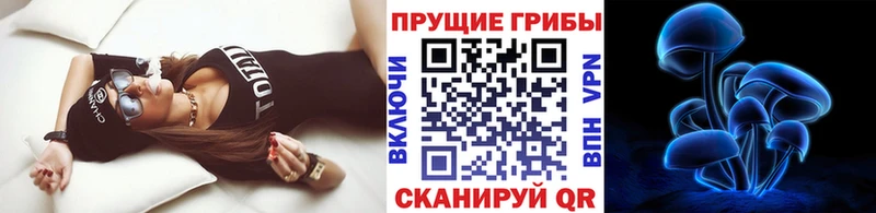blacksprut онион Алапаевск Галлюциногенные грибы Psilocybe как найти закладки